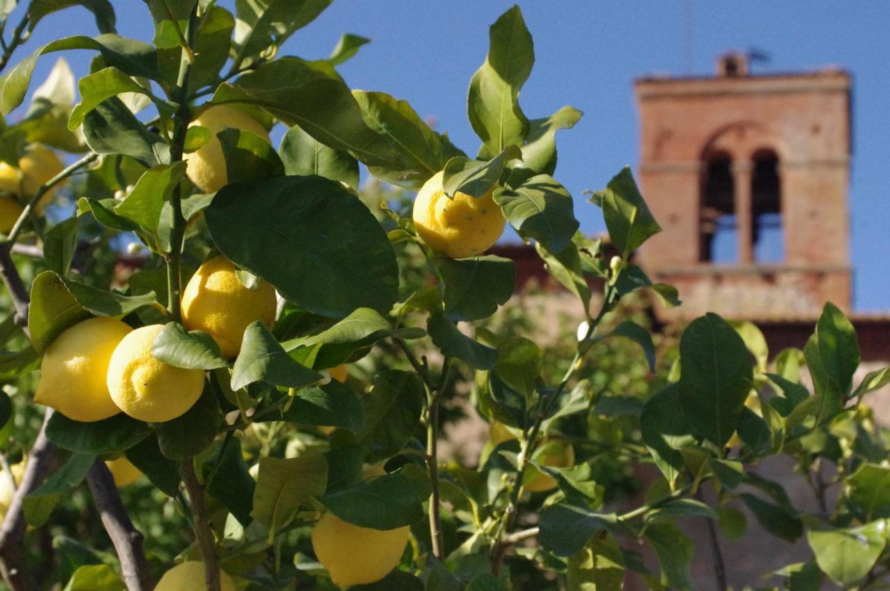 Вилла Monastero Sant'Anna In Camprena Пиенца Экстерьер фото